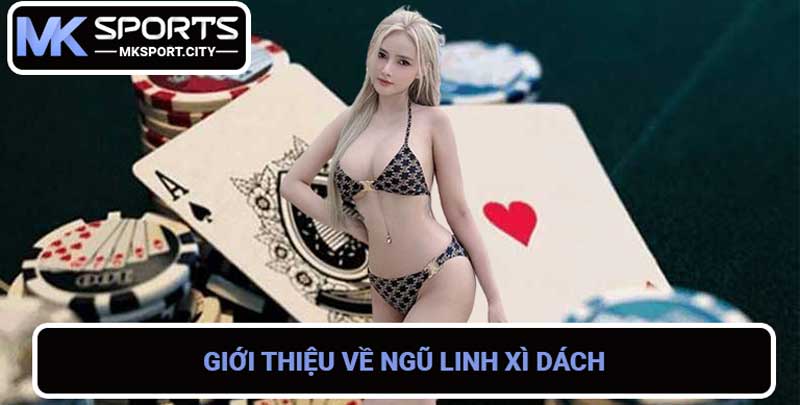 Ngũ Linh Xì Dách Luật chơi đơn giản, chiến thắng dễ dàng!