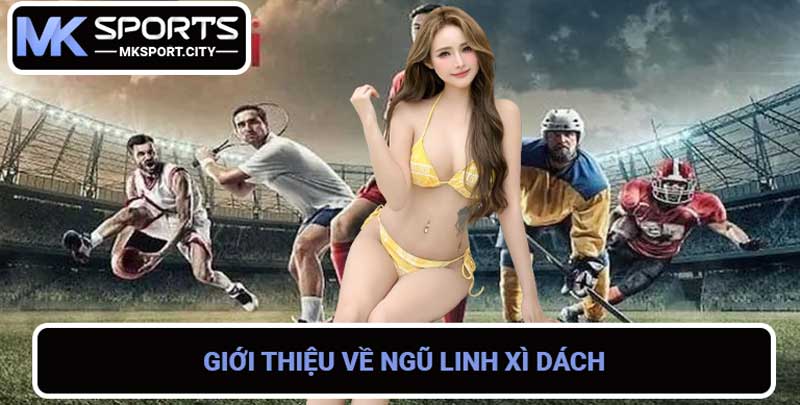 Sảnh BTI Casino Chơi Game Trực Tuyến Uy Tín, Chất Lượng